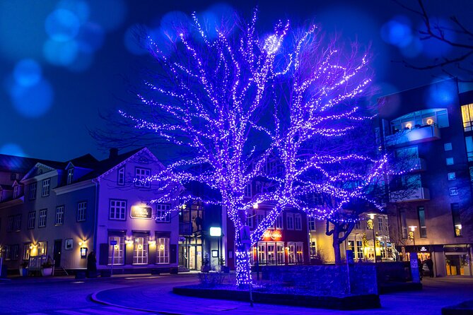 Reykjavik Christmas Walking Tour - Litla Jolabudin and useful souvenir stops