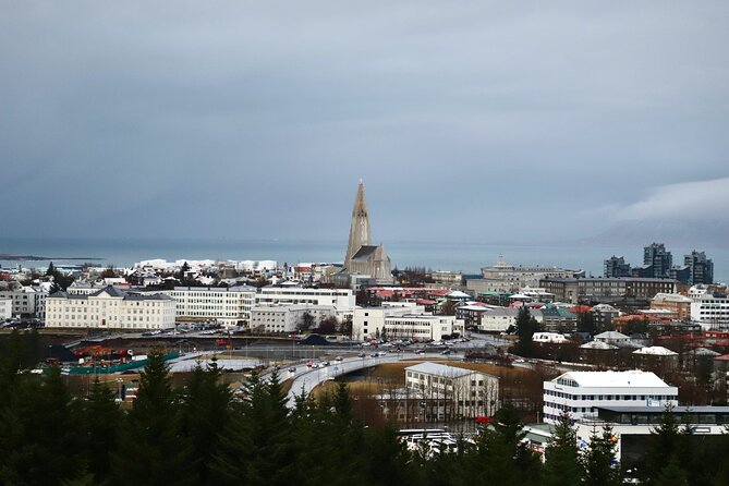 Reykjavik City Private Tour - What the private vehicle changes