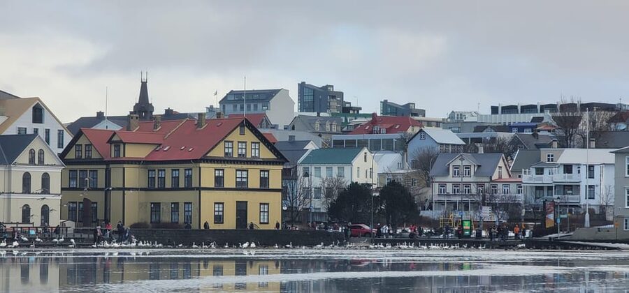 Reykjavik City Private Tour: Perlan, Arbaer & City Landmarks - Why this private Reykjavik route works