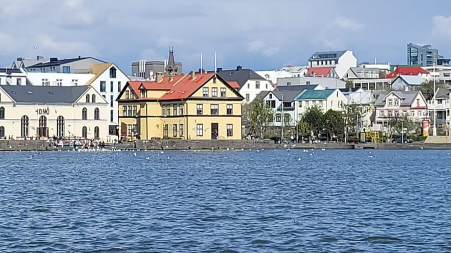 Reykjavik City Private Tour: Perlan, Arbaer & City Landmarks - Should you book this Reykjavik tour?