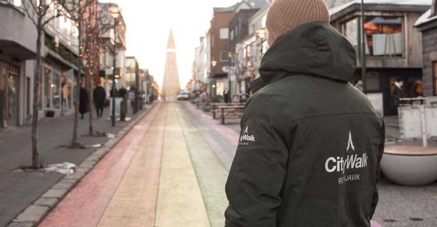 Reykjavik: City Walking tour in Small Group with Local Guide - Key points at a glance