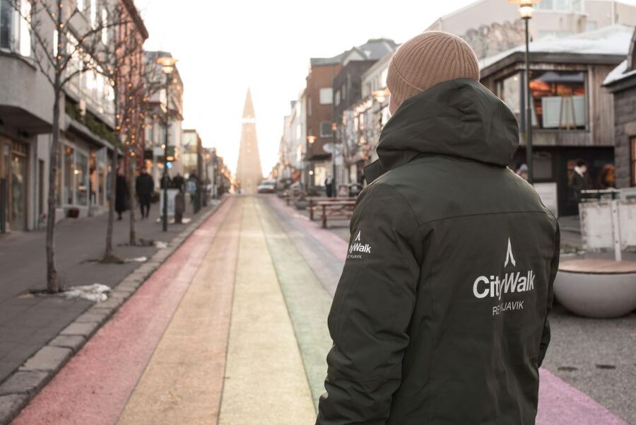 Reykjavik: City Walking tour in Small Group with Local Guide - Tjörnin and the colorful center