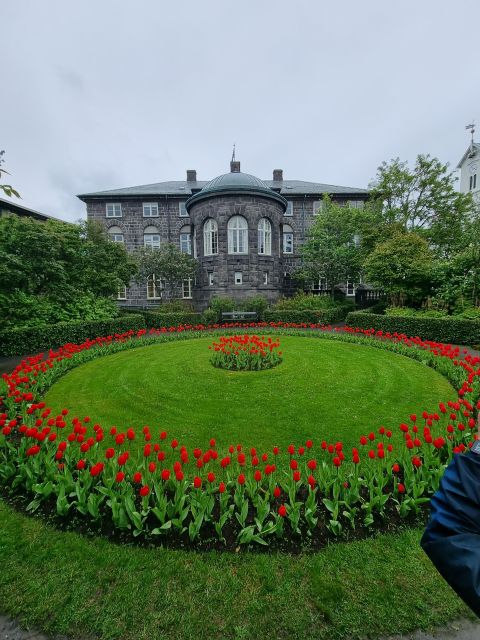 Reykjavik: City Walking tour in Small Group with Local Guide - What the guide adds to the walk