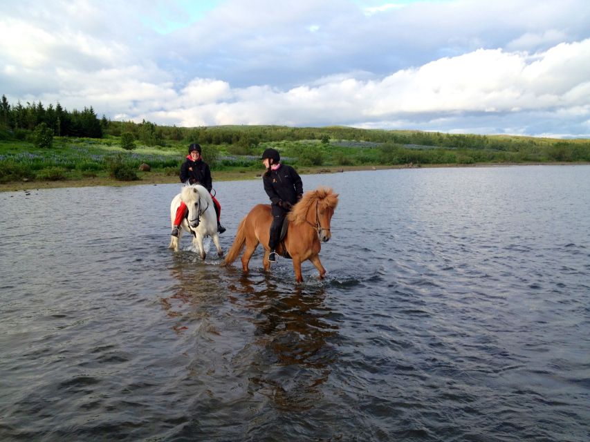 Reykjavik: Evening Sleipnir Horse Riding Tour with Pickup - The warm drink and kleina finish