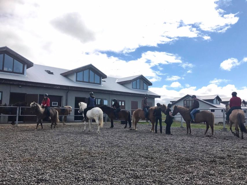 Reykjavik: Evening Sleipnir Horse Riding Tour with Pickup - Is $202 a fair price?