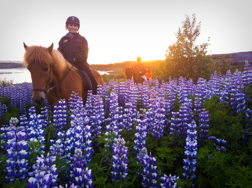 Reykjavik: Evening Sleipnir Horse Riding Tour with Pickup - Meeting the horses at Viking Horses