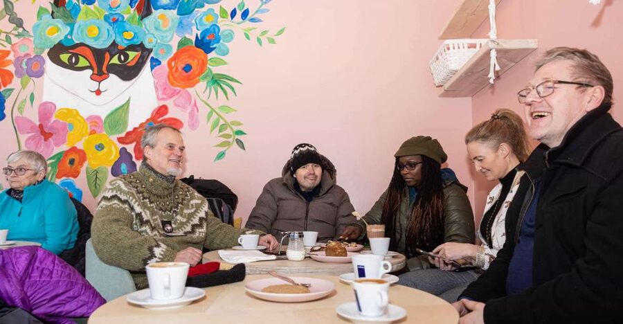 Reykjavik: Feline-Focused City Walking Tour - Key points to know before you book