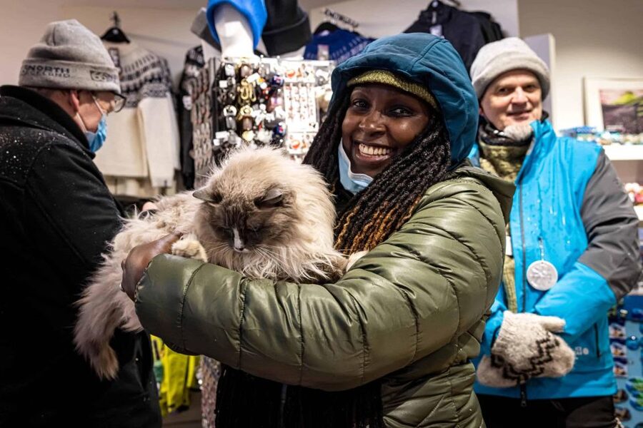 Reykjavik: Feline-Focused City Walking Tour - Why this two-hour walk works so well in Reykjavik