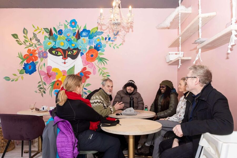 Reykjavik: Feline-Focused City Walking Tour - Lake Tjörnin adds a quieter side of the capital