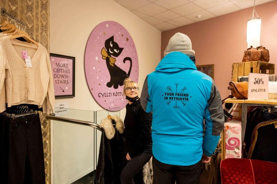 Reykjavik: Feline-Focused City Walking Tour - Group size, pace, and weather
