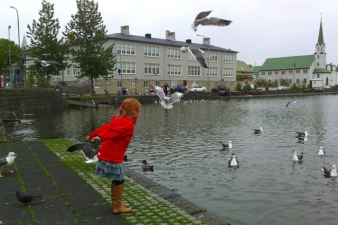 Reykjavik Food Tour and City Walk - PRIVATE TOUR - A private walk with an easy pace