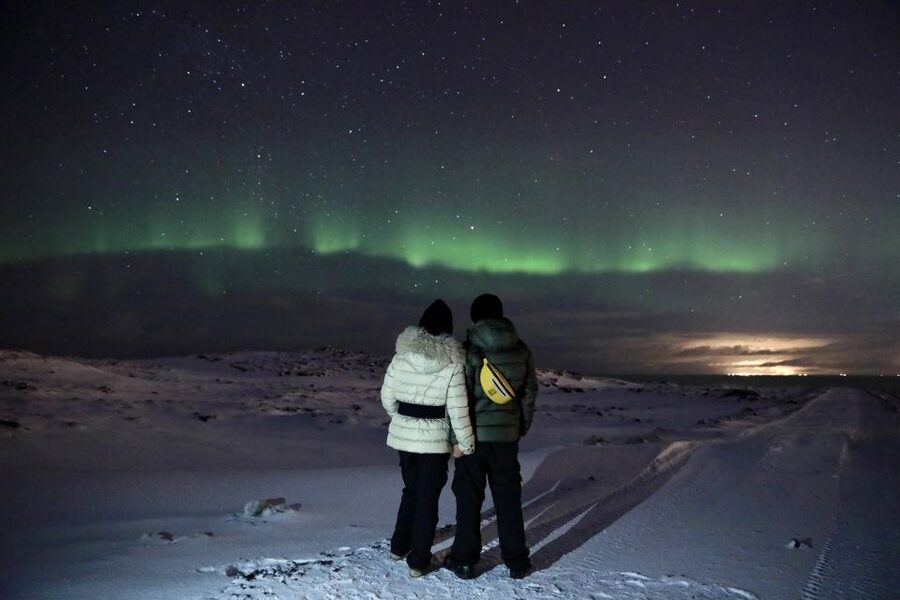 Reykjavík: Golden Circle, Blue Lagoon, and Aurora Tour - Geysir, steam, and a proper lunch break