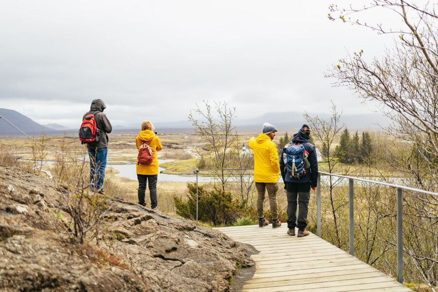 Reykjavik: Golden Circle, Crater & Blue Lagoon Minibus Tour - Guides make the difference