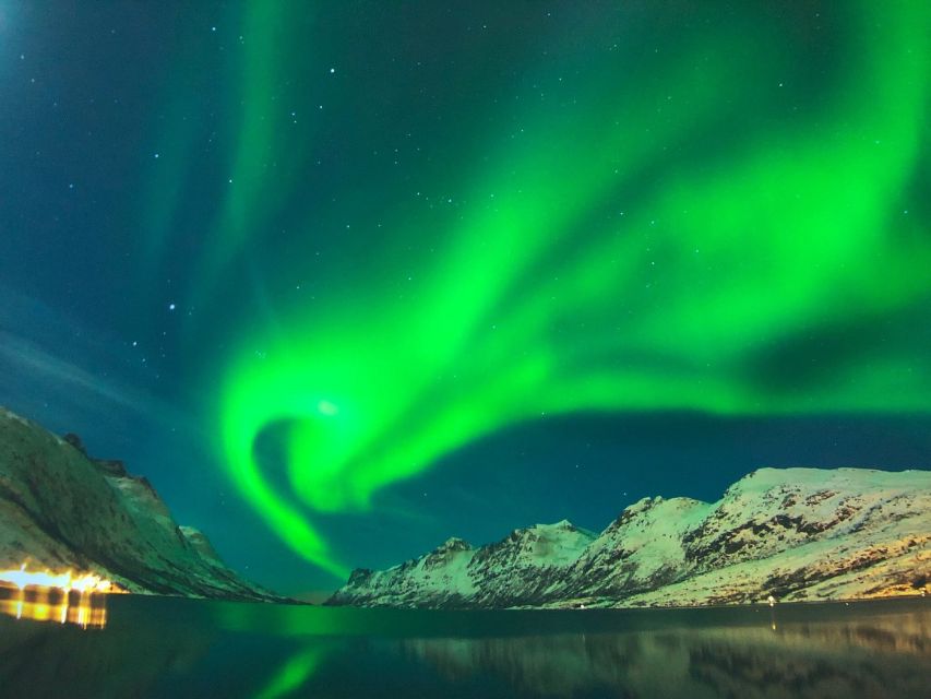 Reykjavík: Golden Circle Tour & Perlan Museum Tour - One day, two very different sides of Iceland