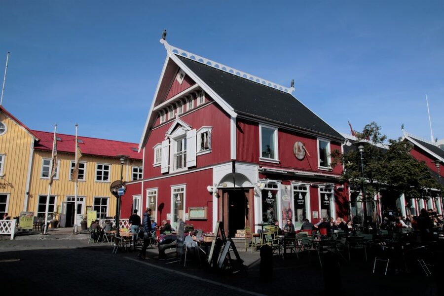 Reykjavik: Guided City Walking Tour - Laugavegur and the everyday city