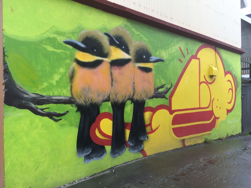 Reykjavik: Guided City Walking Tour - The old houses and quieter streets