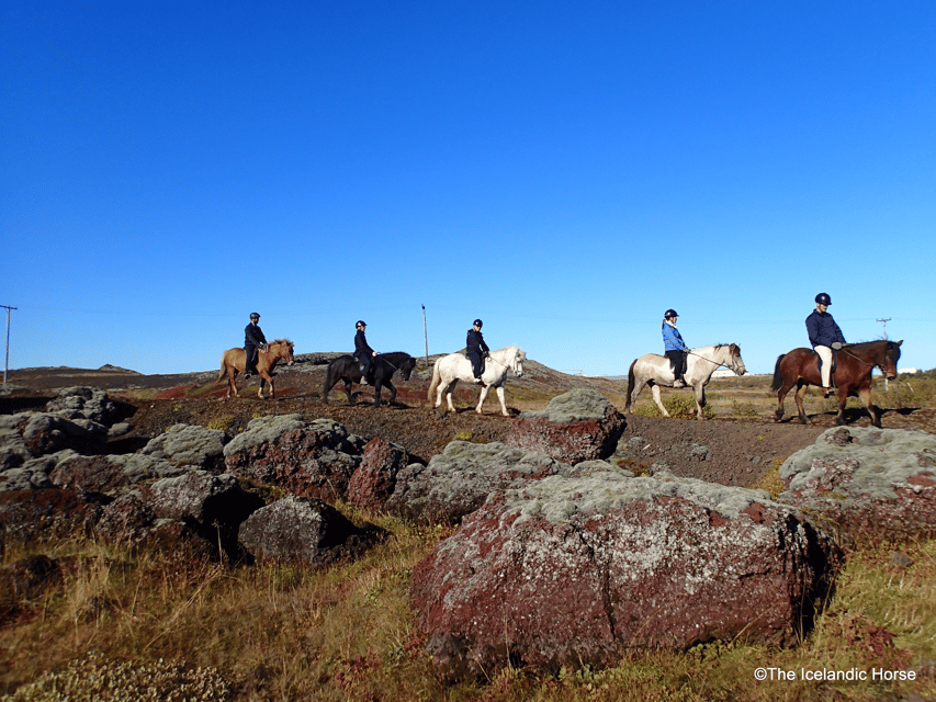 Reykjavík: Horse Riding Tours - Arriving at the stable near Reykjavík