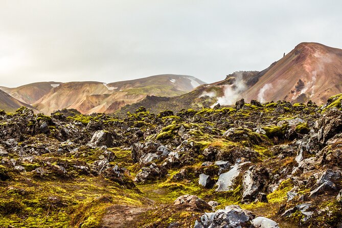 Reykjavík: Landmannalaugar & Icelandic Highlands Super Jeep Tour - Ninety minutes among rhyolite, lava, and hot water