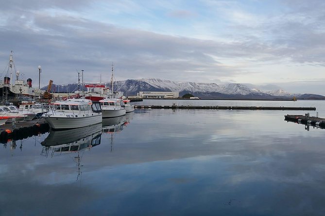 Reykjavik Main Sights and Hidden Spots: A Self-Guided Audio Walk - Harpa, architecture, and a free indoor stop
