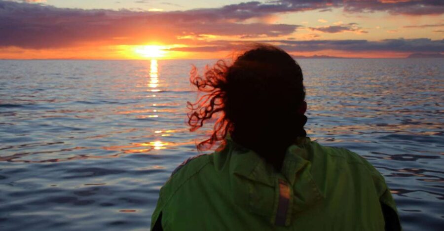 Reykjavík: Midnight Sun Whale Watching Cruise - Key points to know before you sail