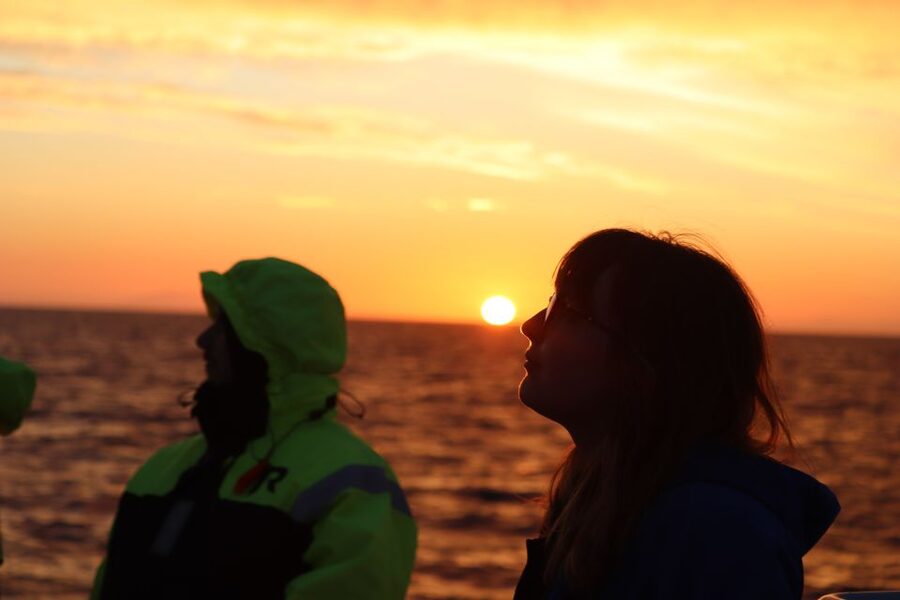 Reykjavík: Midnight Sun Whale Watching Cruise - What the guide adds to the experience