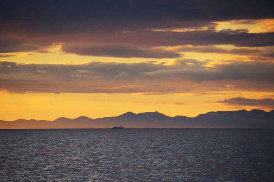 Reykjavík: Midnight Sun Whale Watching Cruise - Should you book the midnight-sun whale watch?