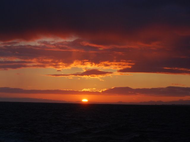 Reykjavik: Midnight Sun Whale Watching Tour - Midnight sun, sunsets, and summer timing