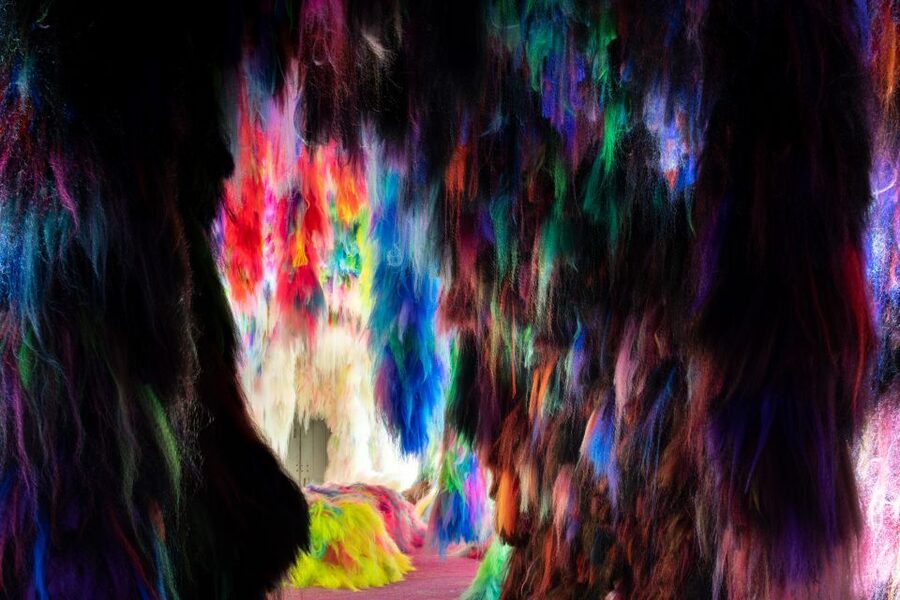 Reykjavík: Multi-Sensory Art Installation Chromo Sapiens - Practical details that affect your visit