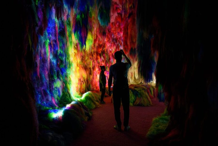 Reykjavík: Multi-Sensory Art Installation Chromo Sapiens - How long should you allow?