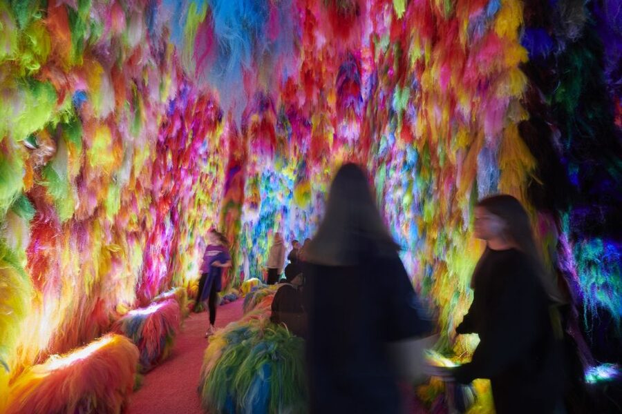 Reykjavík: Multi-Sensory Art Installation Chromo Sapiens - Who will enjoy this most?