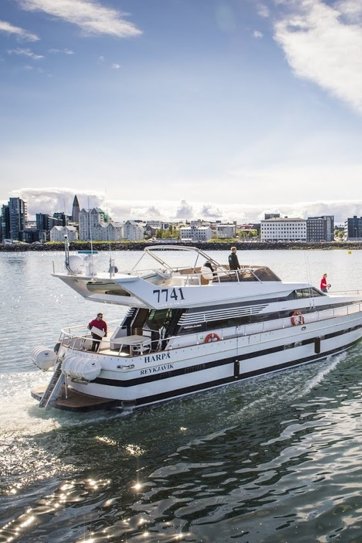 Reykjavík: New Year's Eve Northern Lights Yacht Cruise - Should you book the New Year’s Eve yacht cruise?