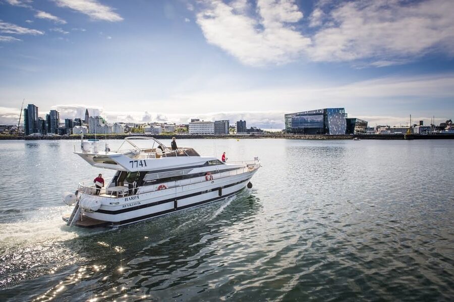 Reykjavík: New Year's Eve Northern Lights Yacht Cruise - The Northern Lights search: beautiful idea, uncertain result