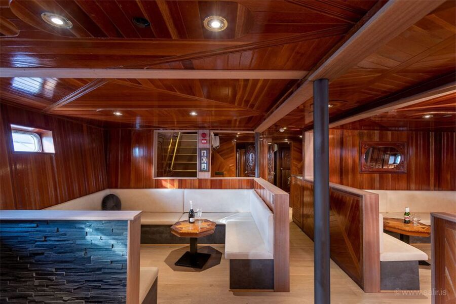 Reykjavik: New Years Fireworks Midnight Cruise - Who should book the Amelia Rose cruise?