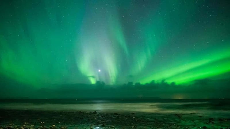 Reykjavik: Northern Lights Adventure Tour with Hot Chocolate - Key points to know before booking