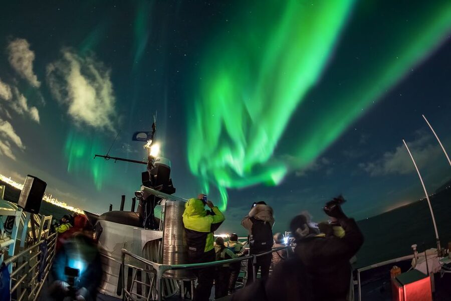 Reykjavik: Northern Lights Guided Boat Tour - Key points to know before booking