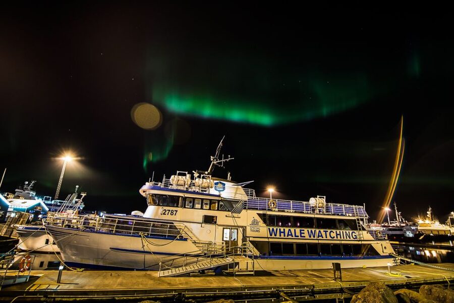 Reykjavik: Northern Lights Guided Boat Tour - Watching from the deck or heated cabin