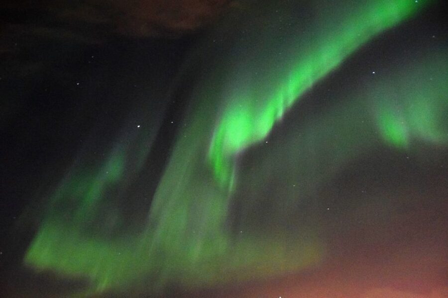 Reykjavik: Northern Lights Guided Boat Tour - What the guides add to the waiting time