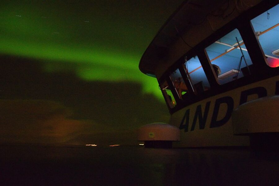 Reykjavik: Northern Lights Guided Boat Tour - Families, wheelchairs, and practical comfort