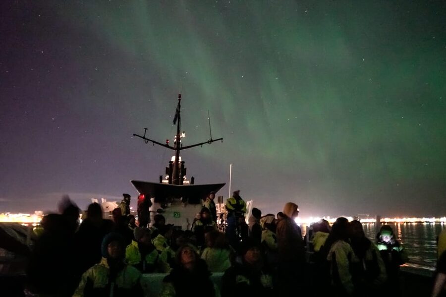 Reykjavik: Northern Lights Guided Boat Tour with Photos - Mountain Views, Coastline, and City Lights