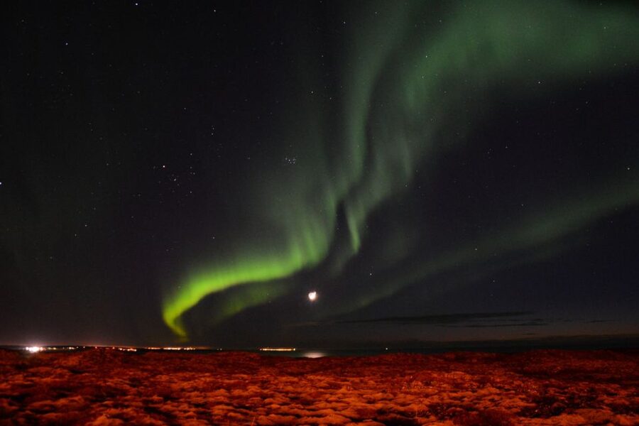 Reykjavik: Northern Lights Motor Yacht Cruise - MY Harpa or MY Amelia Rose?