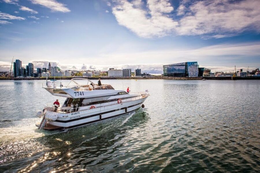 Reykjavik: Northern Lights Motor Yacht Cruise - Is $99 good value?