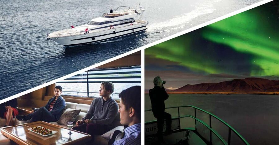 Reykjavik: Northern Lights Motor Yacht Cruise - What the guide adds to the night