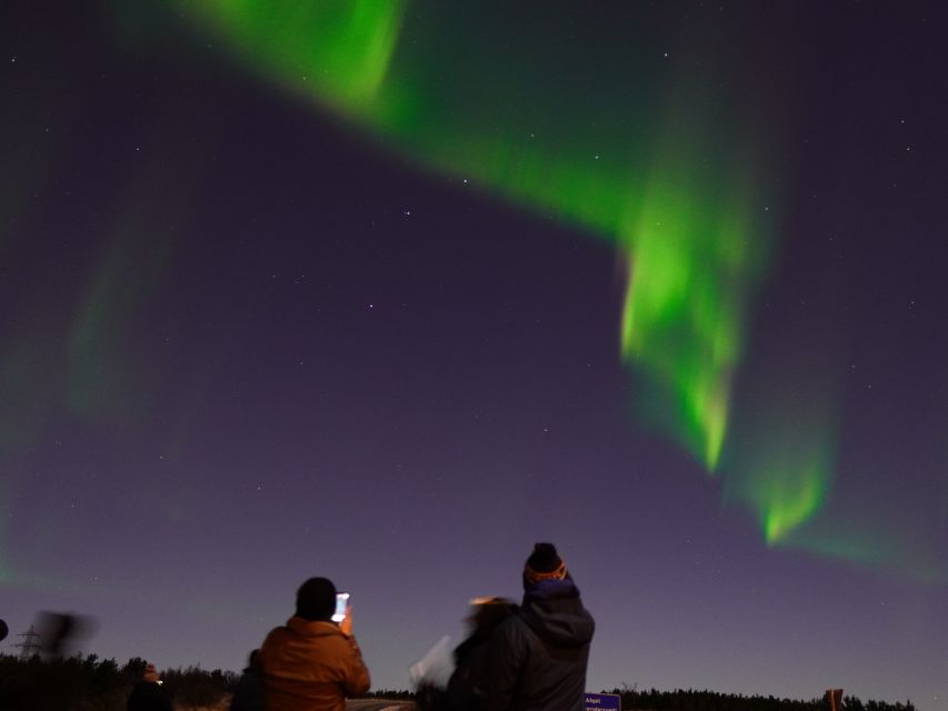 Reykjavik: Northern Lights Tour w/Pro Photos - Small Group - Who should book this tour