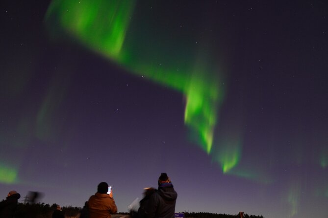 Reykjavik Northern Lights Tour with Pro Aurora Photos Small Group - Cocoa, Cookies, and Viking Stories