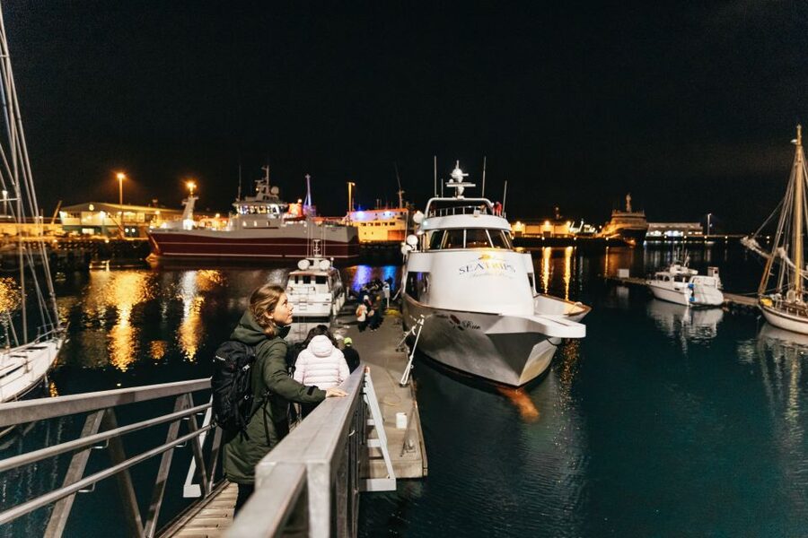 Reykjavik: Northern Lights Yacht Tour - Warm drinks, blankets, and the bar
