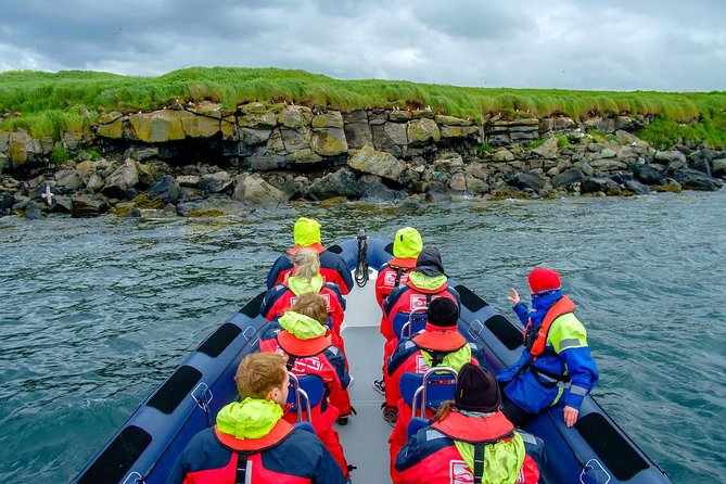 Reykjavik Premium Puffin tour | Close Up and Personal - The best time to see puffins