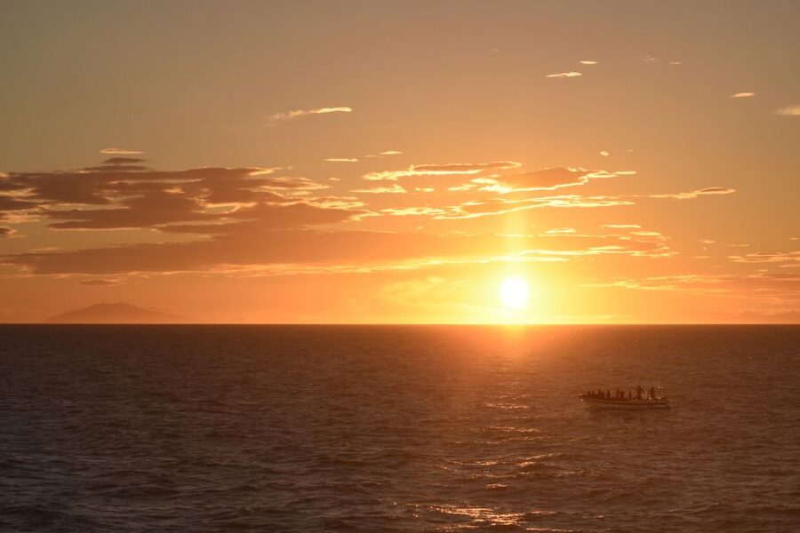Reykjavik: Premium Whale and Puffin Watching Evening Tour - Why the Evening Timing Works