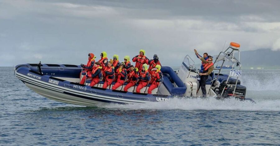 Reykjavik: Premium Whale Watching with Flexible Ticket - Key points to know before booking