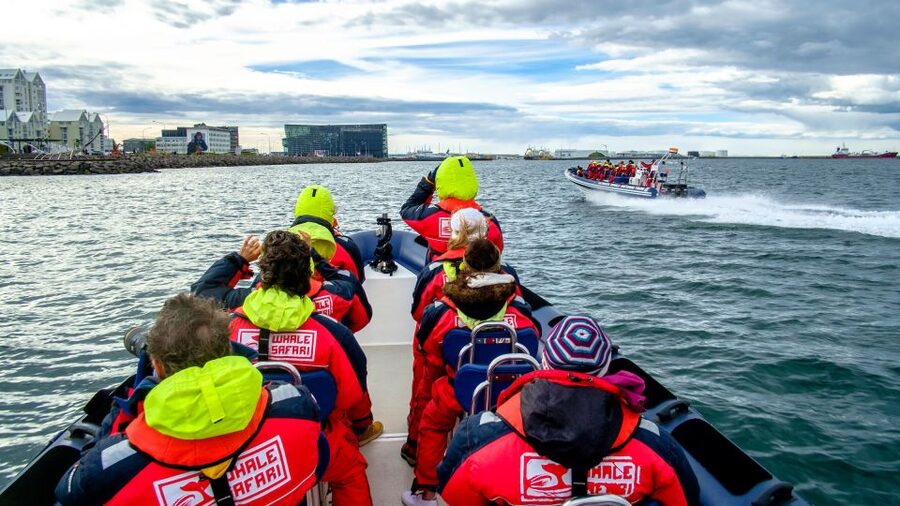 Reykjavik: Premium Whale Watching with Flexible Ticket - What the flexible ticket is really worth