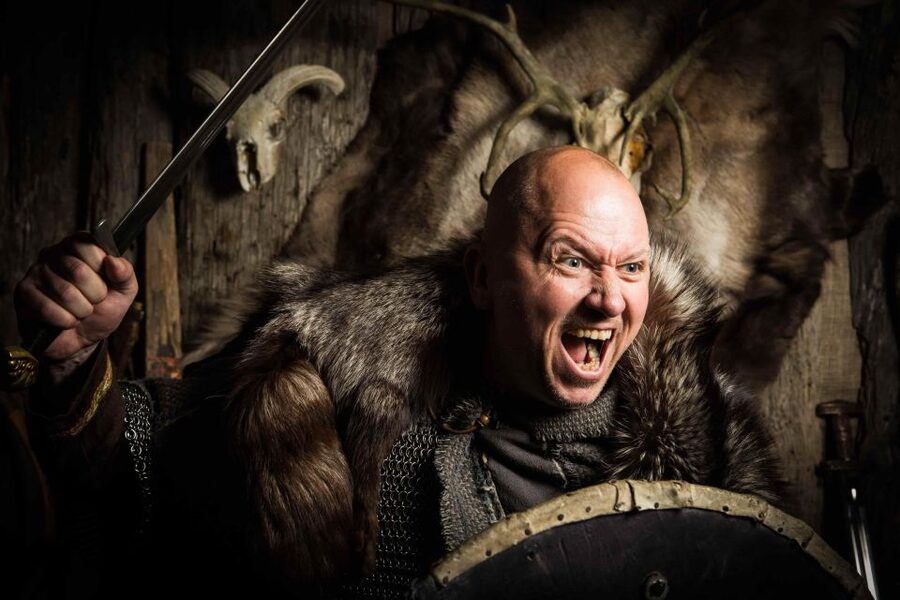 Reykjavik: Private Icelandic Viking Age Walking Tour - Key points at a glance